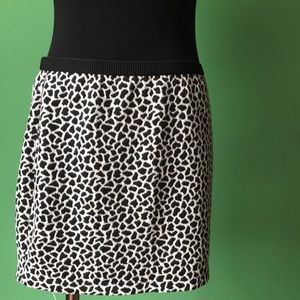 ❤️❤️Express Animal Print Mini Skirt❤️❤️